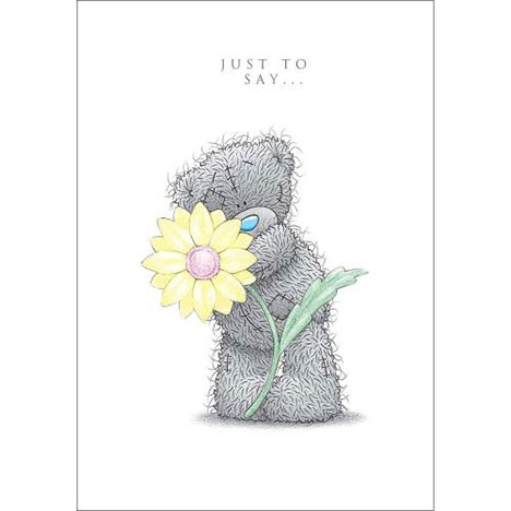 Just to Say Me to You Bear Friendship Card  £1.69