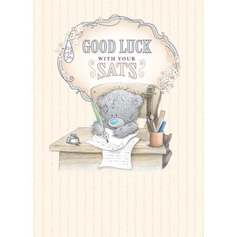 Good Luck With Your SATs Me to You Bear Card  £1.79