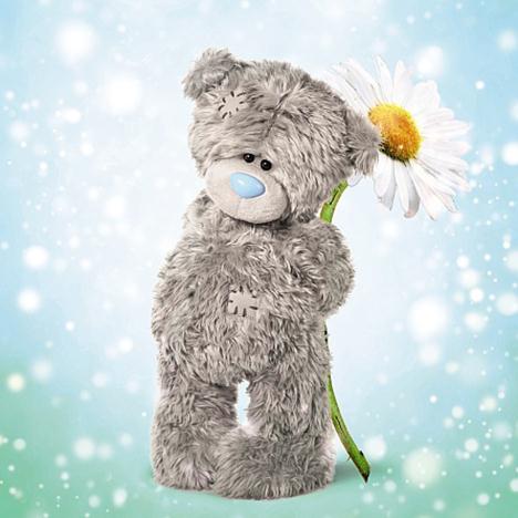3D Holographic Tatty Teddy With Daisy Me to You Bear Birthday Card  £2.99