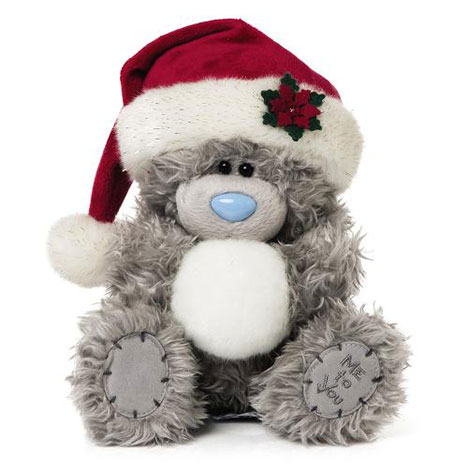 8" Santa Hat and Snowball Me to You Bear  £14.99