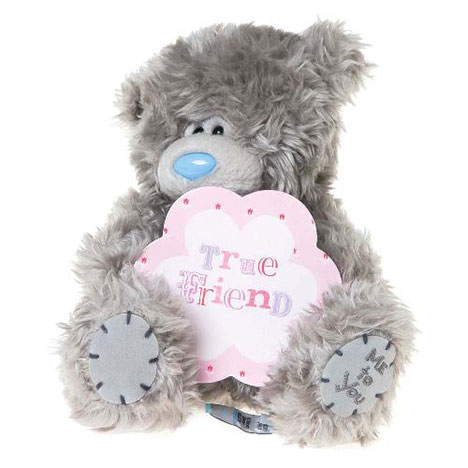 7" True Friend Plaque Me to You Bear  £10.00
