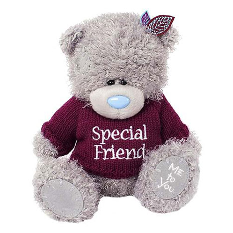 7" Special Friend Jumper Me to You Bear  £10.00
