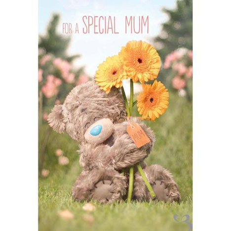 3D Holographic Special Mum Me to You Bear Mothers Day Card  £3.59