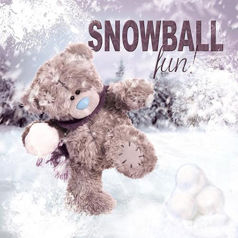 3D Holographic Snowball Fun Me to You Bear Christmas Card  £2.99