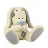 Me to You Bear Blossoms the Rabbit Blue Nose Friends Figurine