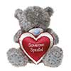 20" Someone Special Heart Me to You Bear