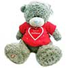 Me to You Bear 12" Me to You Bear with Special Girlfriend T-Shirt