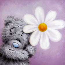 Bear with Daisy Me to You Bear Card