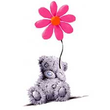 Bear with Pink Flower Me to You Bear Card