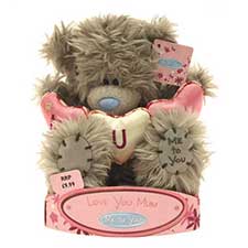 6inch Sitting Mum Me to You Bear