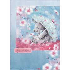 Nan Cards