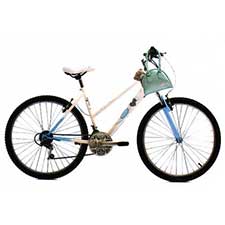 Me to You Bear 26" Ladies Bike