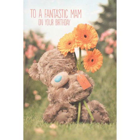 Mam Birthday Photo Finish Me to You Bear Card  £2.49