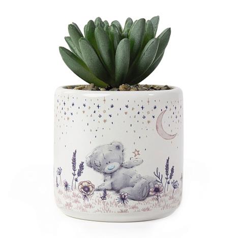 Artificial Me to You Bear Succulent Plant  £5.99