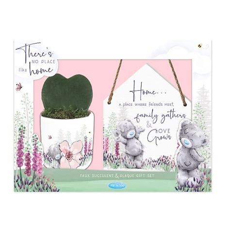 No Place Like Home Faux Succulent & Plaque Me to You Bear Gift  £8.49