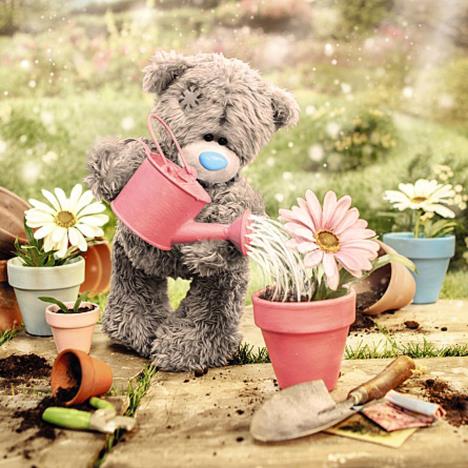 3D Holographic Watering Plants Me to You Bear Card  £2.69