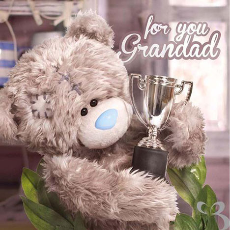 Grandad Me to You Bear Father