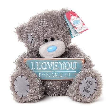 8" I Love You This Much Plaque Me to You Bear  £15.00