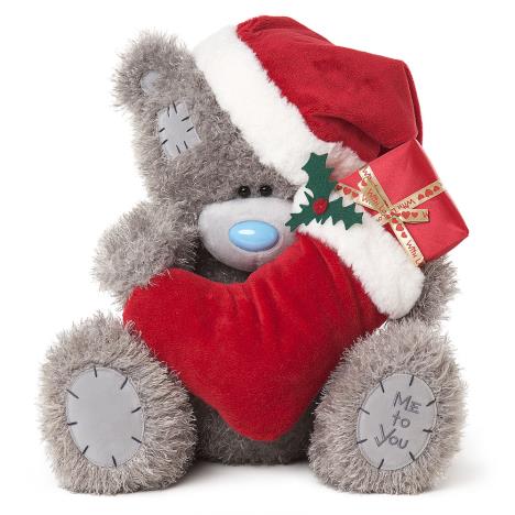 20" Holding Stocking Me To You Bear  £39.99