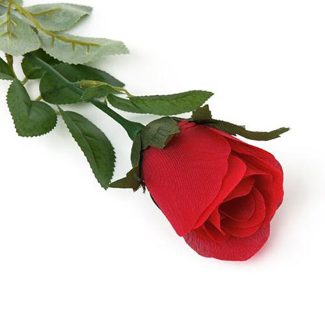 Me to You Bear Single Rose   £1.50