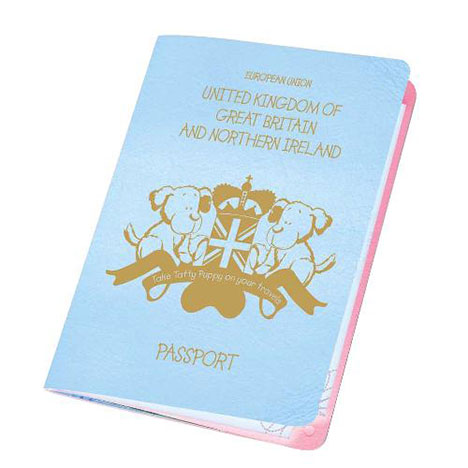 Tatty Puppy Me to You Bear Passport  £2.99