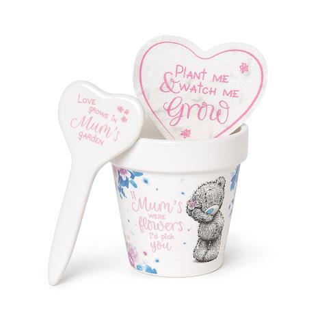 Me to You Bear Mum Garden Pot & Seeds Gift Set  £7.99