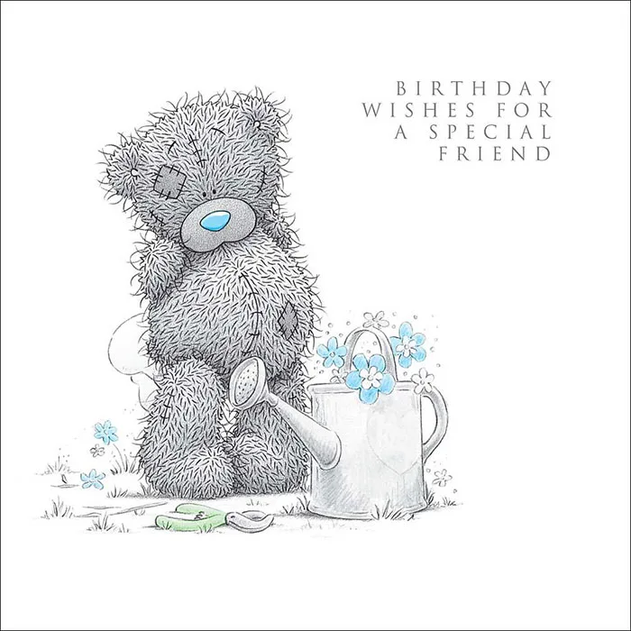Friend Birthday Me to You Bear Card £2.09