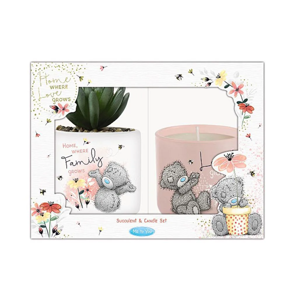 Faux Succulent & Candle Me to You Bear Gift Set £11.99