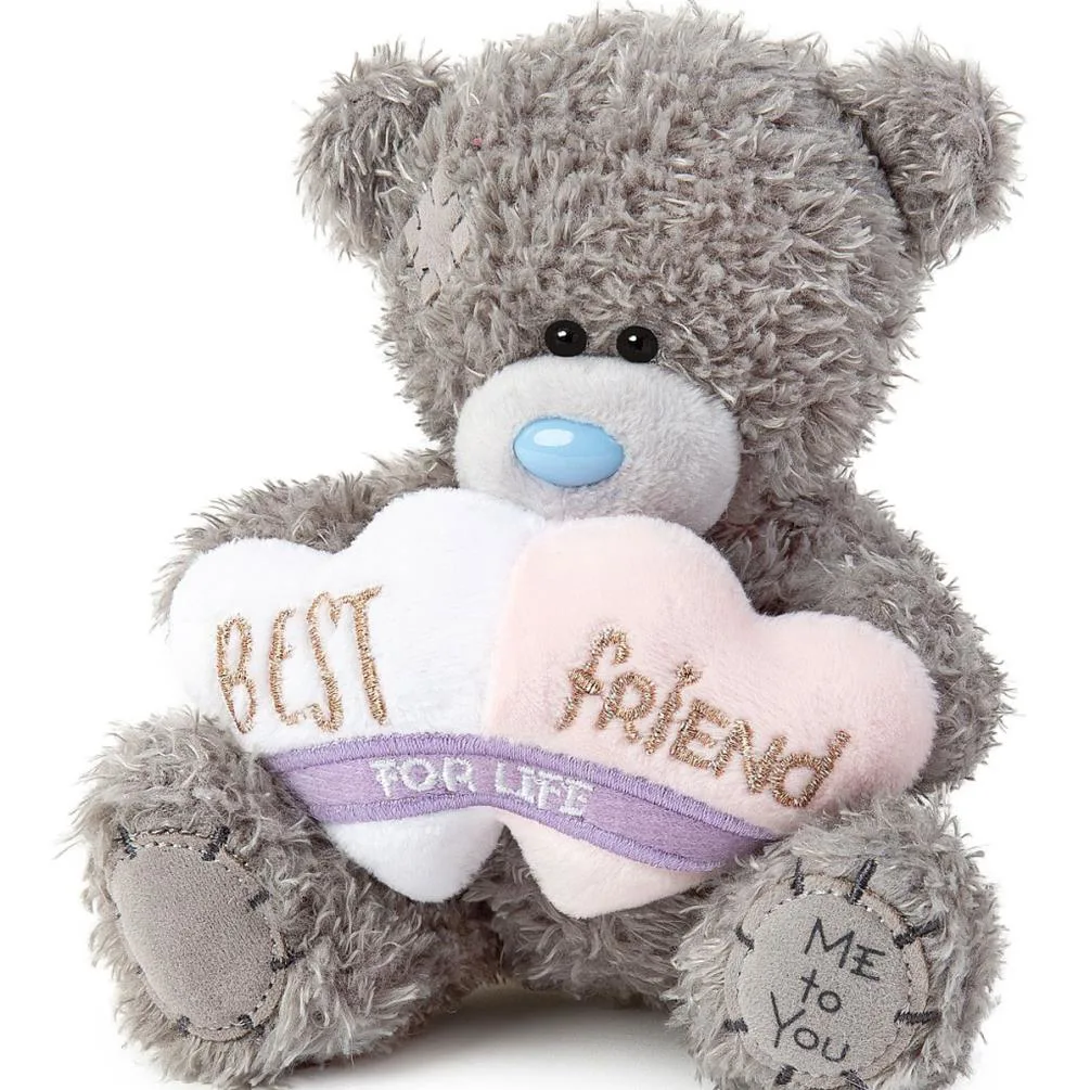 5" Best Friends For Life Me to You Bear Extra Image 2
