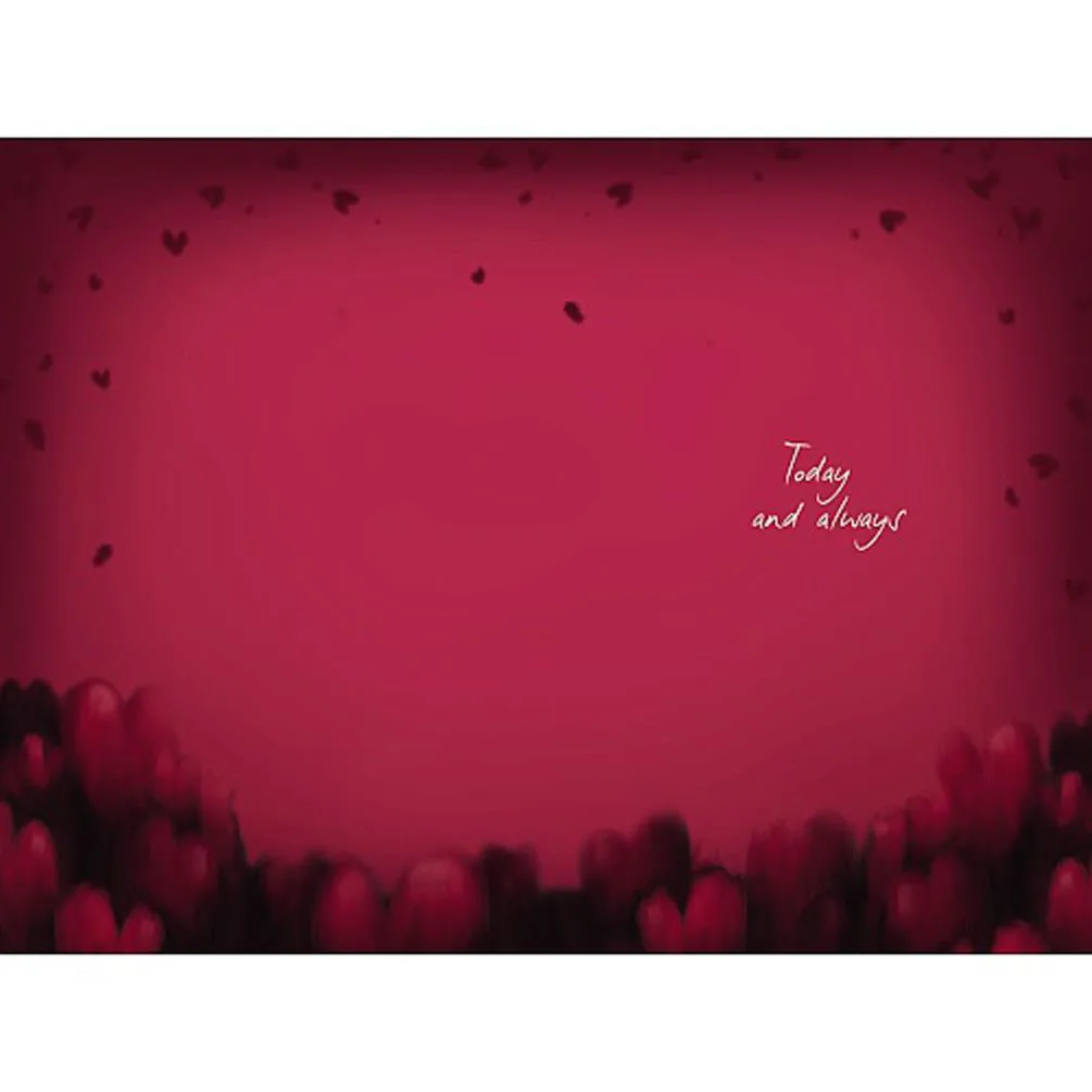 Forever Valentine Softly Drawn Me to You Bear Valentine's Day Card Extra Image 1