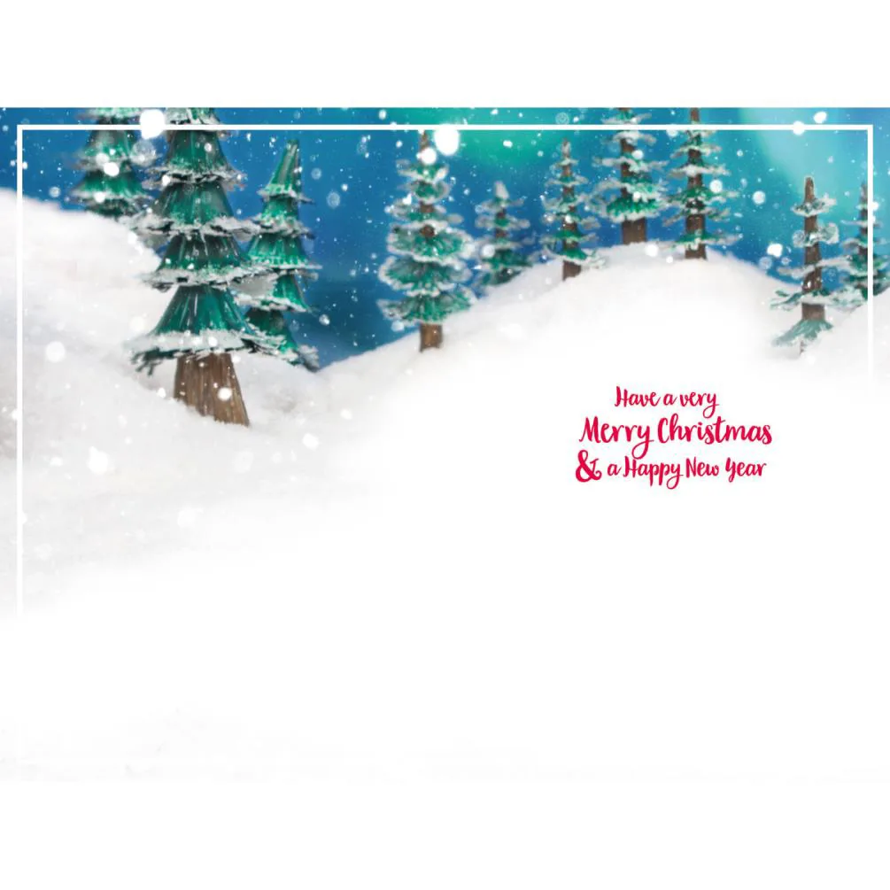 Bear Riding Santa Sleigh Photo Finish Me to You Bear Christmas Card Extra Image 1