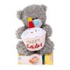 7" Happy Birthday Cake Me to You Bear