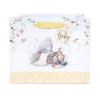 Hello Baby Me to You Bear Medium New Baby Gift Bag