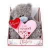 9" Girlfriend Padded Heart Verse Me to You Bear