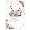 Baby Girl's 1st Christmas Me to You Bear Christmas Card