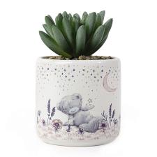 Artificial Me to You Bear Succulent Plant