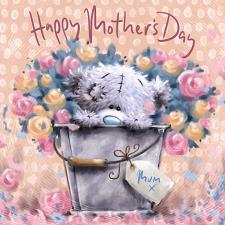 Sat In Mum Bucket Me to You Bear Mother's Day Card
