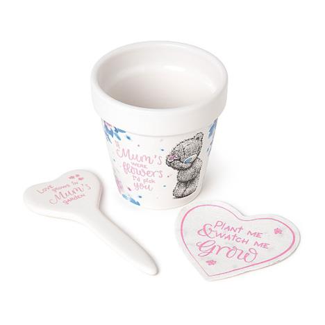 Seeds /& Plant Stick Me To You MGZ01024 Mums Garden Gift Set-Plant Pot
