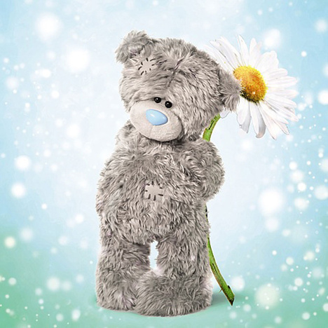 Me To You Tatty Teddy - Biglietto Auguri Compleanno 3D Lenticolare 15,2 Cm - Simpatico Orsetto Con Cappello